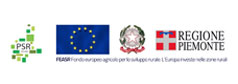 PSR 2014-2020, Regione Piemonte, Misura 7.6.1 – Ristrutturazione dell’alpeggio Alpe Meis